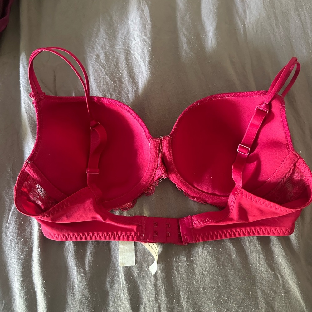 Ruby Red Bra - image 2